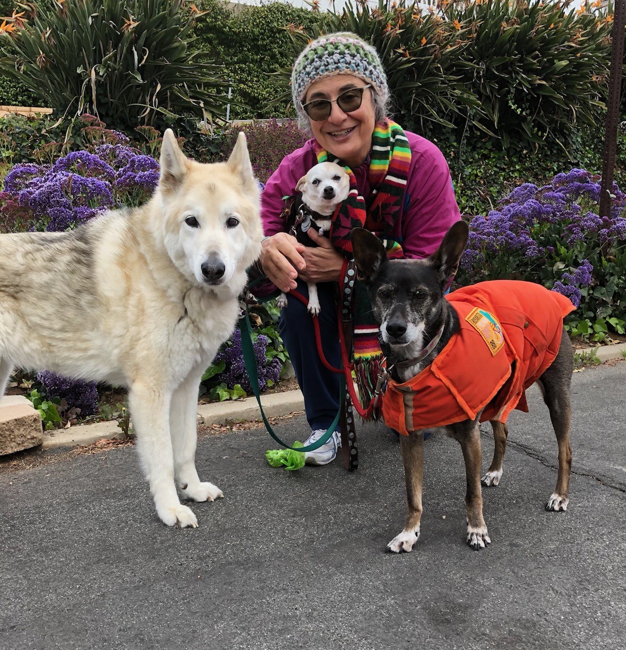 Myriam with dogs